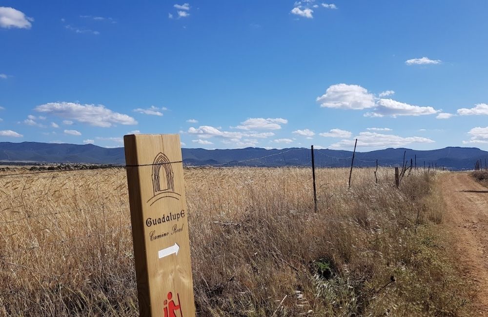 Camino Real de Guadalupe