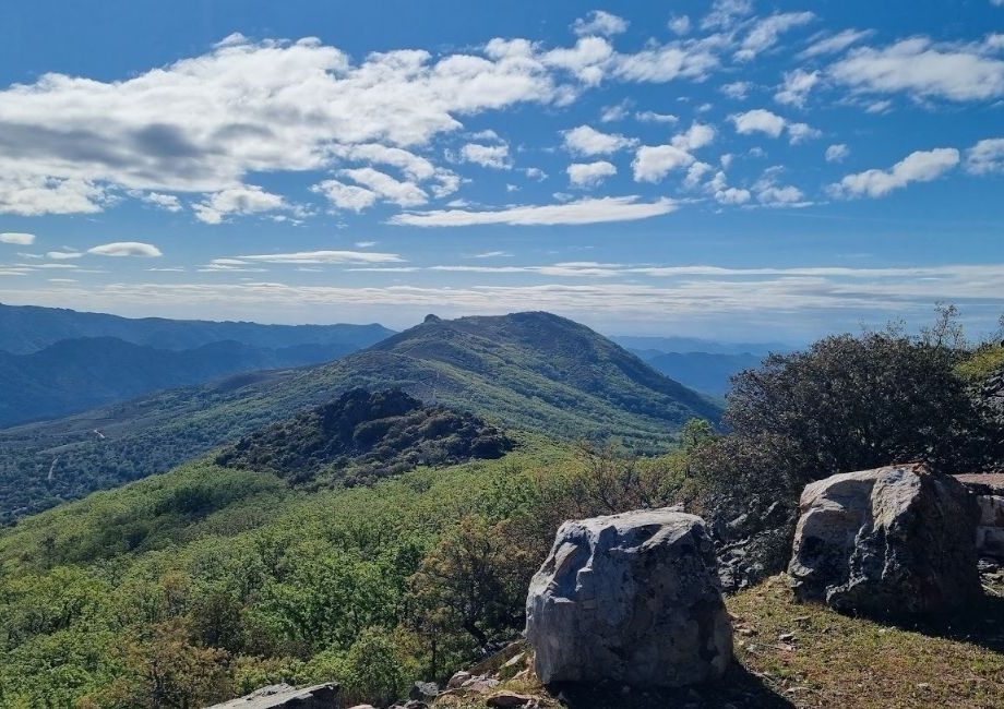 Ruta al Risco Carbonero