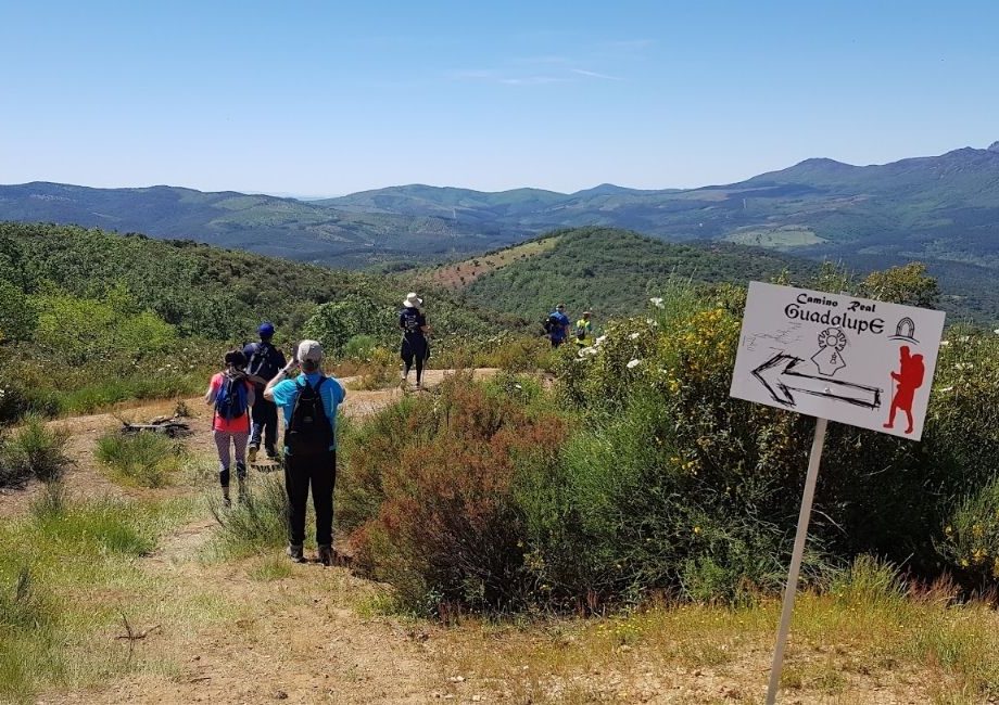 Camino Real de Guadalupe