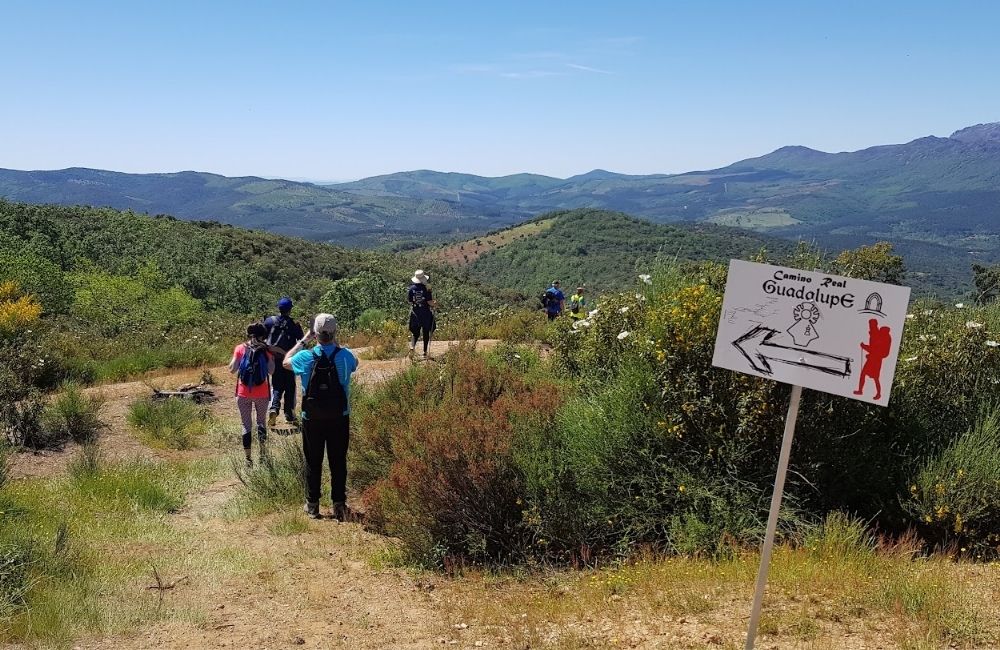 Camino Real de Guadalupe