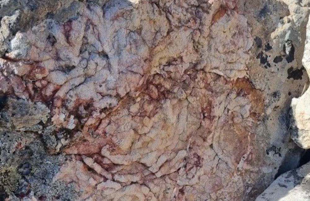 Ruta al Risco Carbonero